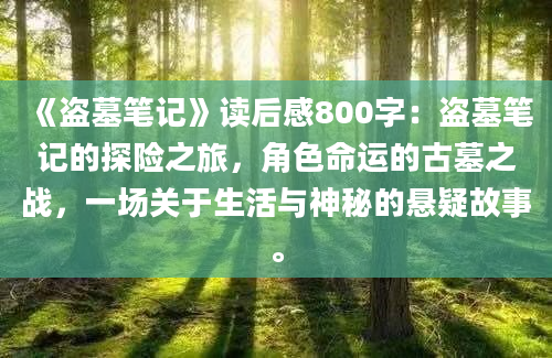 《盗墓笔记》<a href=https://www.baixuetang.com target=_blank class=infotextkey>读后感</a>800字：盗墓笔记的探险之旅，角色命运的古墓之战，一场关于生活与神秘的悬疑故事。