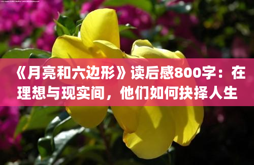 《月亮和六边形》<a href=https://www.baixuetang.com target=_blank class=infotextkey>读后感</a>800字：在理想与现实间，他们如何<a href=https://www.baixuetang.com/tag/jueze.html target=_blank class=infotextkey>抉择</a>人生