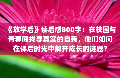 《放学后》读后感800字：在校园与青春间找寻真实的自我，他们如何在课后时光中解开成长的谜题？