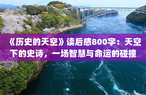 《历史的天空》读后感800字：天空下的史诗，一场智慧与命运的碰撞