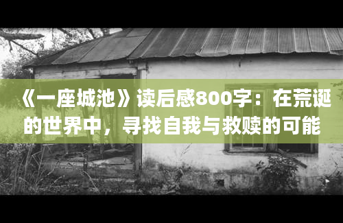 《一座城池》读后感800字：在荒诞的世界中，寻找自我与救赎的可能