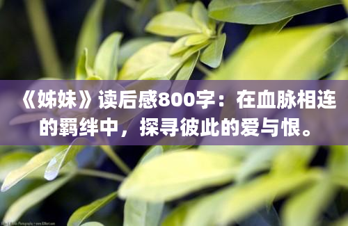 《姊妹》读后感800字：在血脉相连的羁绊中，探寻彼此的爱与恨。