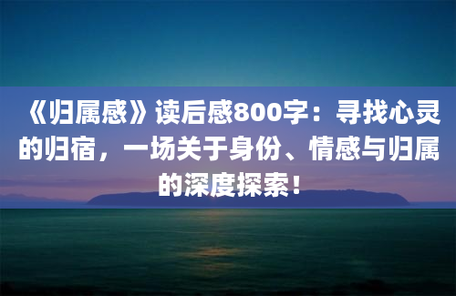 《归属感》读后感800字：寻找心灵的归宿，一场关于身份、情感与归属的深度探索！