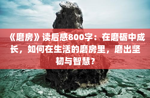 《磨房》读后感800字：在磨砺中成长，如何在生活的磨房里，磨出坚韧与智慧？