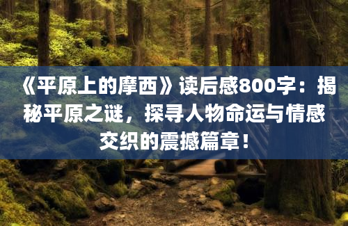 《平原上的摩西》读后感800字：揭秘平原之谜，探寻人物命运与情感交织的震撼篇章！