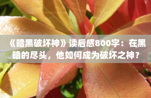 《暗黑破坏神》读后感800字：在黑暗的尽头，他如何成为破坏之神？