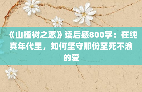 《山楂树之恋》读后感800字：在纯真年代里，如何坚守那份至死不渝的爱