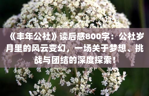 《丰年公社》读后感800字：公社岁月里的风云变幻，一场关于梦想、挑战与团结的深度探索！