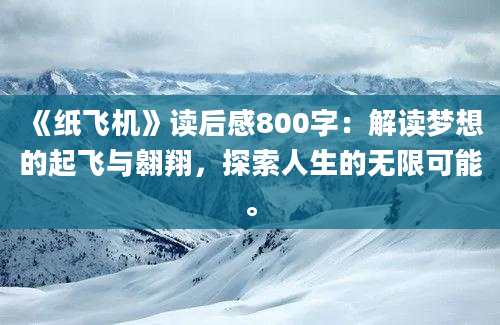 《纸飞机》读后感800字：解读梦想的起飞与翱翔，探索人生的无限可能。