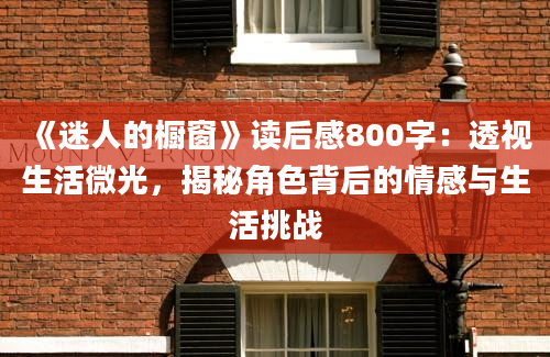 《迷人的橱窗》读后感800字：透视生活微光，揭秘角色背后的情感与生活挑战