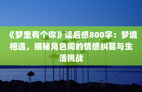 《梦里有个你》读后感800字：梦境相遇，揭秘角色间的情感纠葛与生活挑战