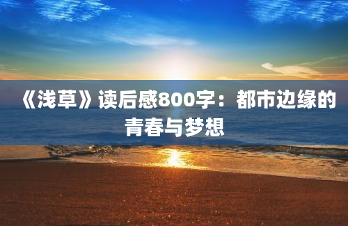 《浅草》读后感800字：都市边缘的青春与梦想