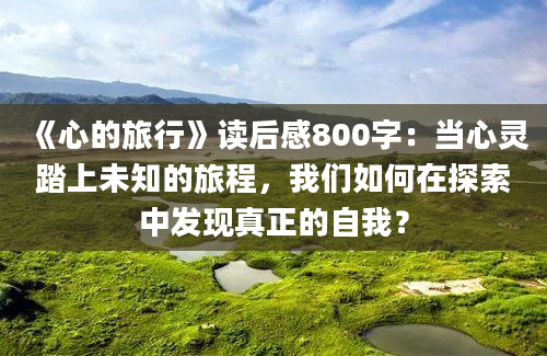 《心的旅行》读后感800字：当心灵踏上未知的旅程，我们如何在探索中发现真正的自我？