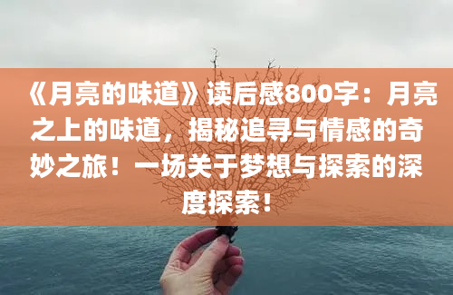 《月亮的味道》读后感800字：月亮之上的味道，揭秘追寻与情感的奇妙之旅！一场关于梦想与探索的深度探索！