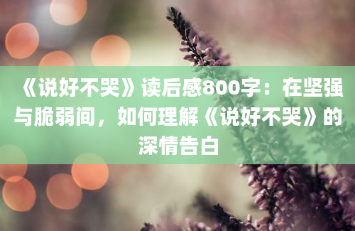 《说好不哭》<a href=https://www.baixuetang.com target=_blank class=infotextkey>读后感</a>800字：在坚强与脆弱间，如何理解《说好不哭》的深情告白