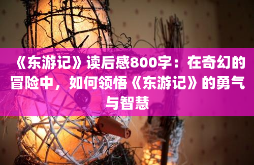 《东游记》读后感800字：在奇幻的冒险中，如何领悟《东游记》的勇气与智慧