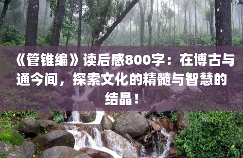 《管锥编》读后感800字：在博古与通今间，探索文化的精髓与智慧的结晶！