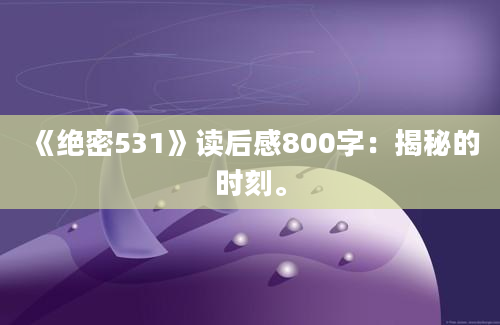 《绝密531》读后感800字：揭秘的时刻。