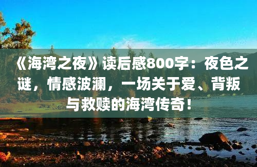 《海湾之夜》读后感800字：夜色之谜，情感波澜，一场关于爱、背叛与救赎的海湾传奇！