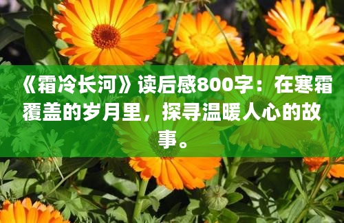 《霜冷长河》读后感800字：在寒霜覆盖的岁月里，探寻温暖人心的故事。