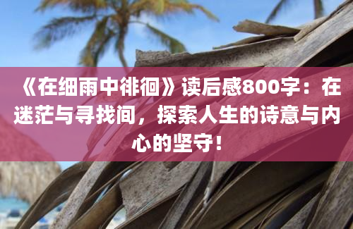 《在细雨中徘徊》读后感800字：在迷茫与寻找间，探索人生的诗意与内心的坚守！