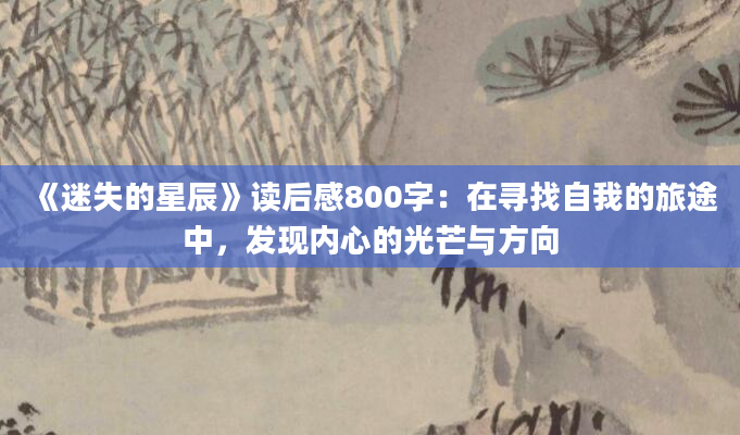 《迷失的星辰》读后感800字：在寻找自我的旅途中，发现内心的光芒与方向