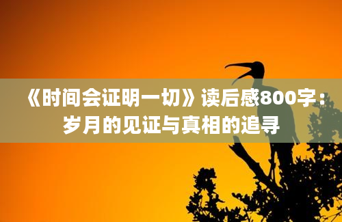 《时间会证明一切》读后感800字：岁月的见证与真相的追寻