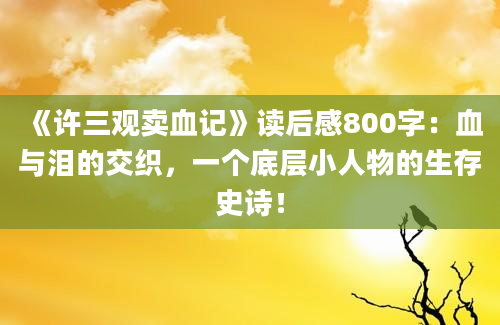 《许三观卖血记》读后感800字：血与泪的交织，一个底层小人物的生存史诗！