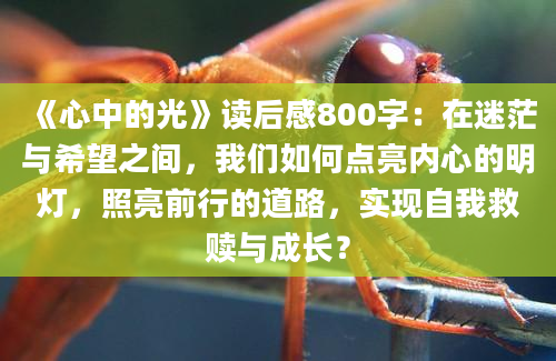 《心中的光》读后感800字：在迷茫与希望之间，我们如何点亮内心的明灯，照亮前行的道路，实现自我救赎与成长？