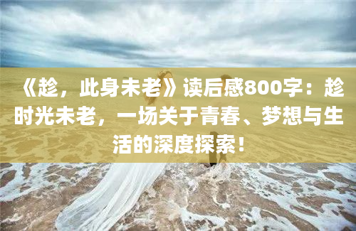 《趁，此身未老》读后感800字：趁时光未老，一场关于青春、梦想与生活的深度探索！