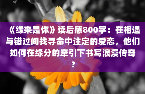 《缘来是你》读后感800字：在相遇与错过间找寻命中注定的爱恋，他们如何在缘分的牵引下书写浪漫传奇？