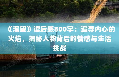 《渴望》读后感800字：追寻内心的火焰，揭秘人物背后的情感与生活挑战