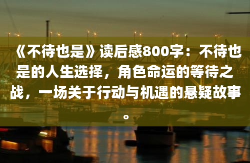 《不待也是》读后感800字：不待也是的人生选择，角色命运的等待之战，一场关于行动与机遇的悬疑故事。