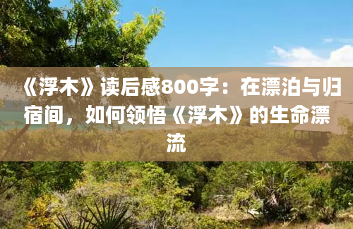 《浮木》读后感800字：在漂泊与归宿间，如何领悟《浮木》的生命漂流