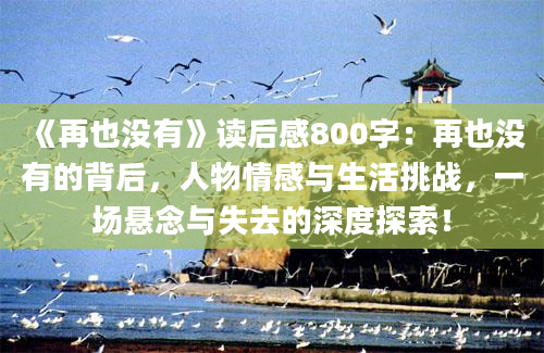 《再也没有》读后感800字：再也没有的背后，人物情感与生活挑战，一场悬念与失去的深度探索！