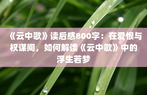 《云中歌》读后感800字：在爱恨与权谋间，如何解读《云中歌》中的浮生若梦