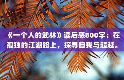 《一个人的武林》读后感800字：在孤独的江湖路上，探寻自我与超越。