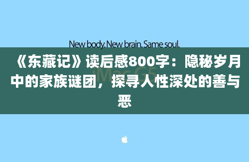 《东藏记》读后感800字：隐秘岁月中的家族谜团，探寻人性深处的善与恶