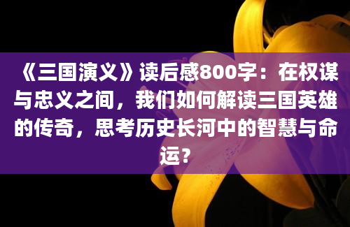 《三国演义》读后感800字：在权谋与忠义之间，我们如何解读三国英雄的传奇，思考历史长河中的智慧与命运？