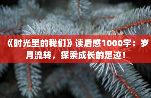 《时光里的我们》读后感1000字：岁月流转，探索成长的足迹！