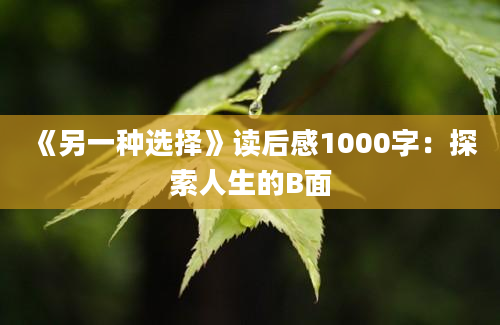 《另一种选择》读后感1000字：探索人生的B面