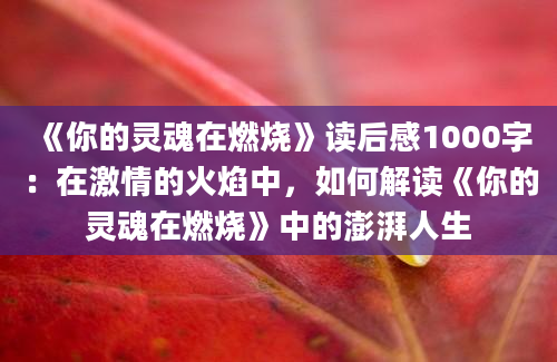 《你的灵魂在燃烧》读后感1000字：在激情的火焰中，如何解读《你的灵魂在燃烧》中的澎湃人生