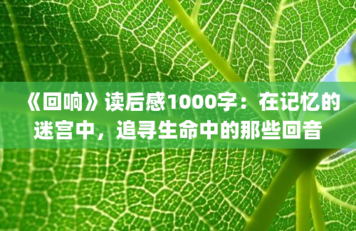 《回响》读后感1000字：在记忆的迷宫中，追寻生命中的那些回音