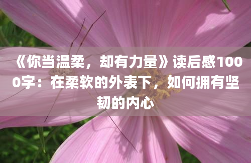 《你当温柔，却有力量》读后感1000字：在柔软的外表下，如何拥有坚韧的内心