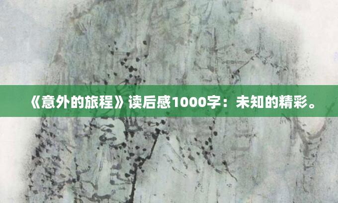 《意外的旅程》读后感1000字：未知的精彩。