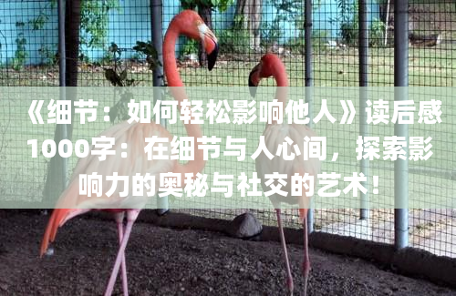 《细节：如何轻松影响他人》读后感1000字：在细节与人心间，探索影响力的奥秘与社交的艺术！