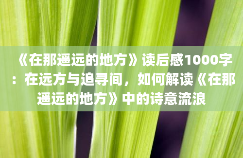 《在那遥远的地方》读后感1000字：在远方与追寻间，如何解读《在那遥远的地方》中的诗意流浪