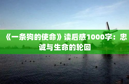 《一条狗的使命》读后感1000字：忠诚与生命的轮回