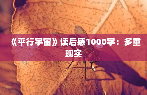 《平行宇宙》读后感1000字：多重现实