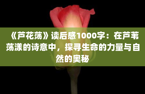 《芦花荡》读后感1000字：在芦苇荡漾的诗意中，探寻生命的力量与自然的奥秘